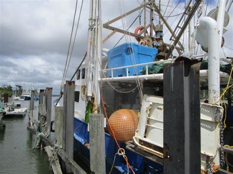 queensland fishing brokerage pty ltd.